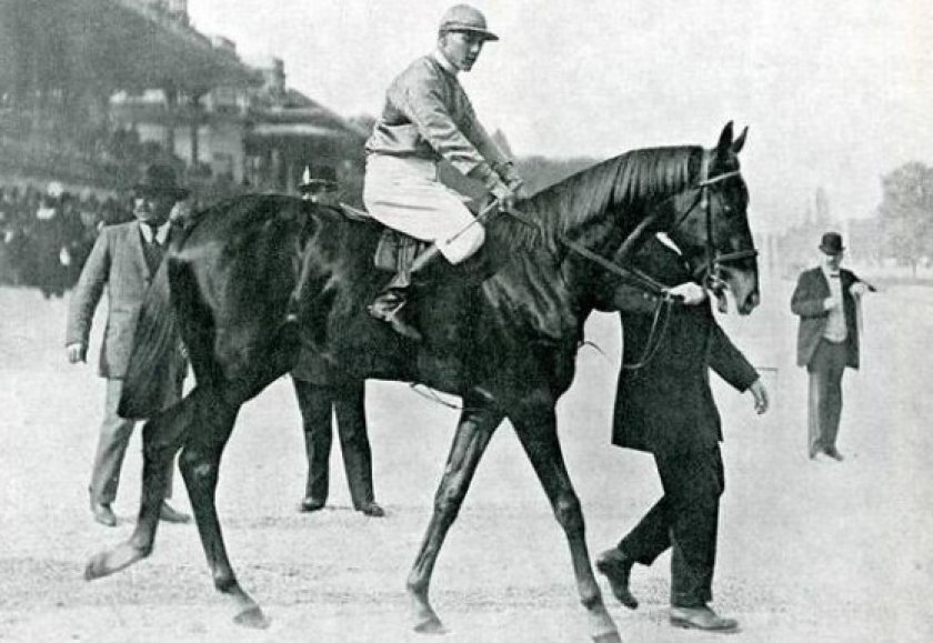 Жеребец Бич Рэкит Жеребец Бич Рэкит