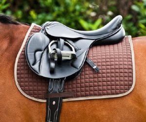 Вальтрап для лошади