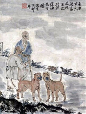 История шарпея История шарпея