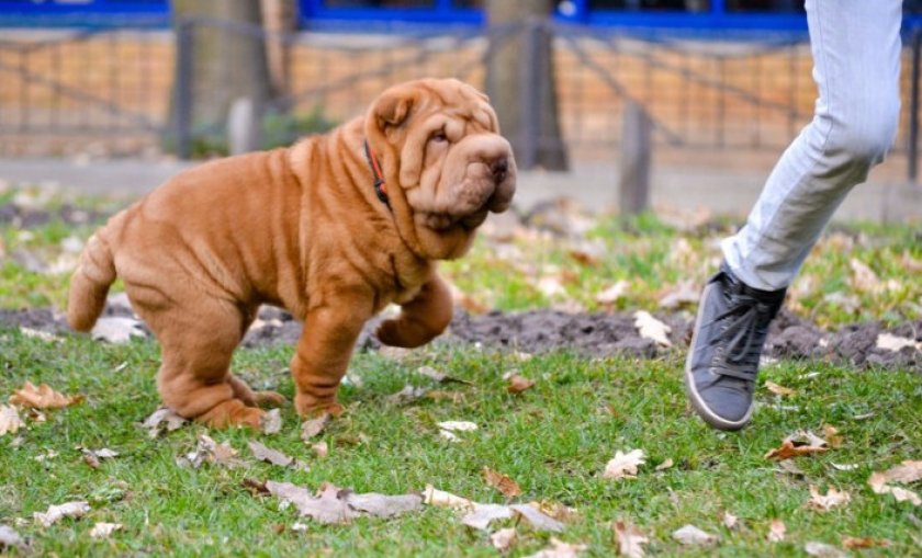 Физическая активность Физическая активность