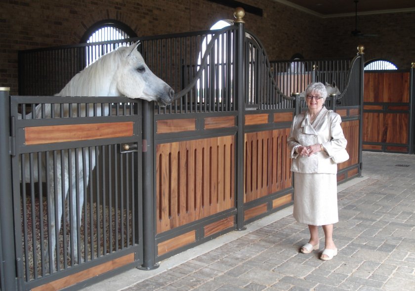 Арабская лошадь