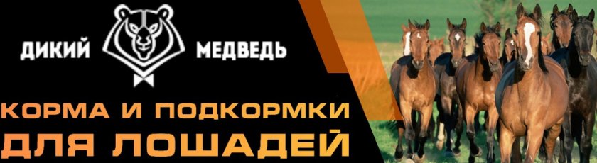 Дикий Медведь