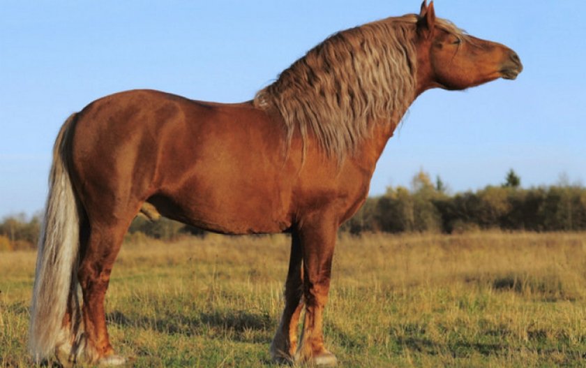 Советский тяжеловоз