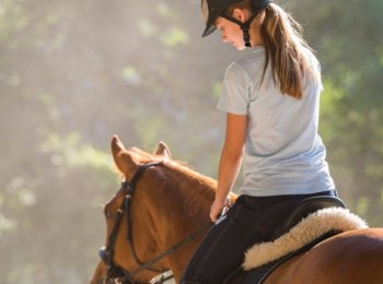 Как правильно оседлать лошадь