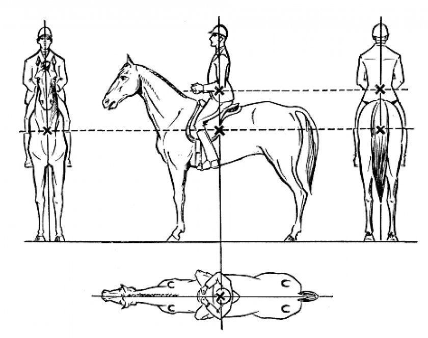 Как сидеть на лошади