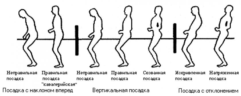 Как сидеть на лошади