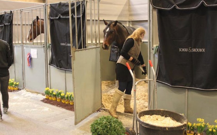 Уборка в конюшне