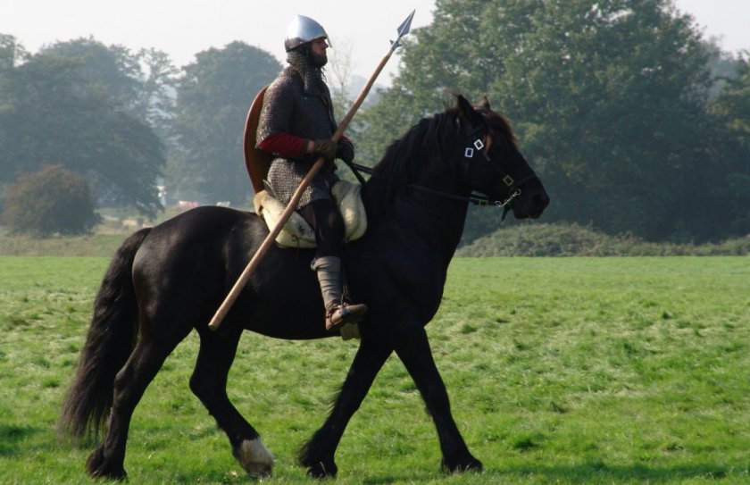 История верховой езды