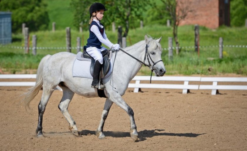 Верховая езда