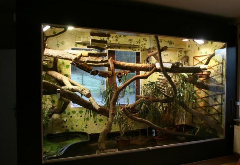 Террариум для игуаны