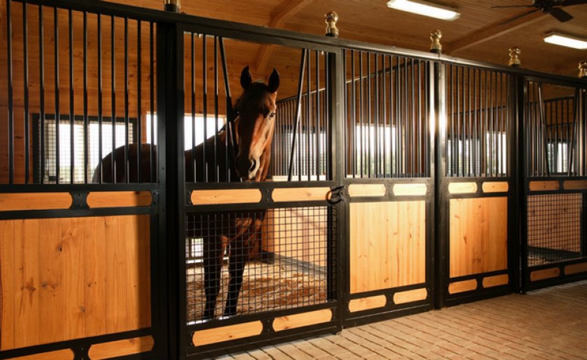 Лошадь в конюшне