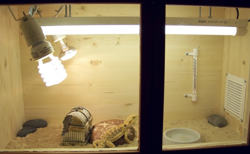 Ультрафиолетовая лампа