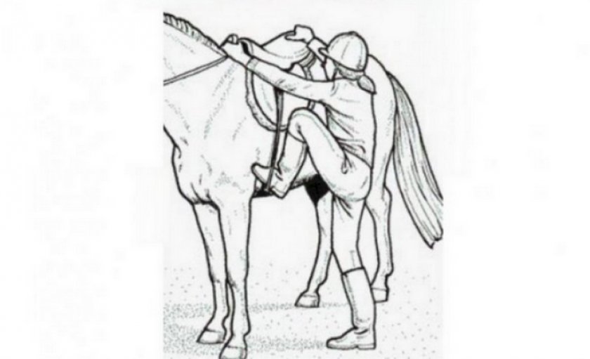 Оседлание лошади Оседлание лошади