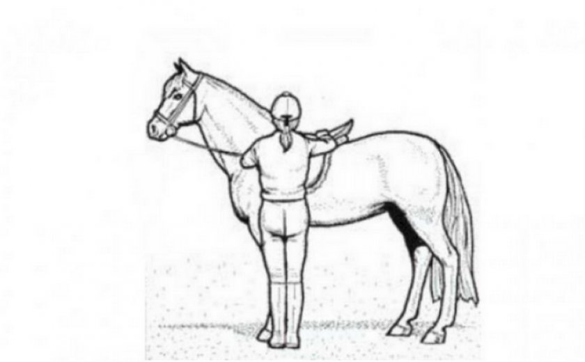 Оседлание лошади Оседлание лошади