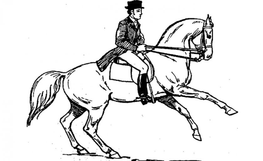 Галоп на 3-х ногах