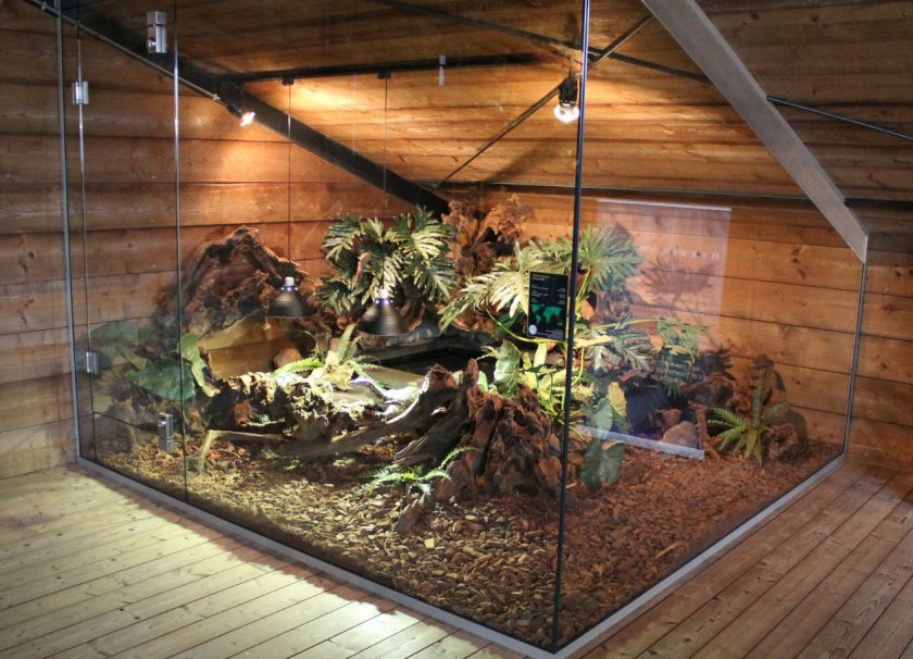 Террариум Террариум