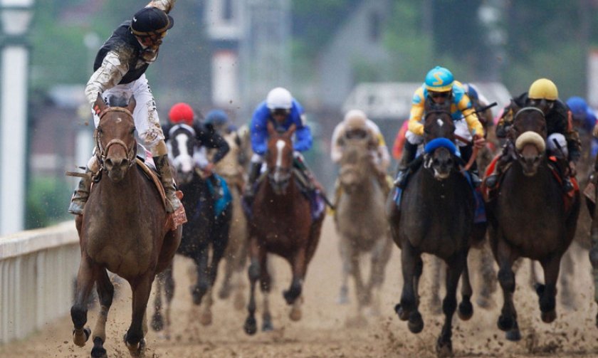 Соревнования на лошадях