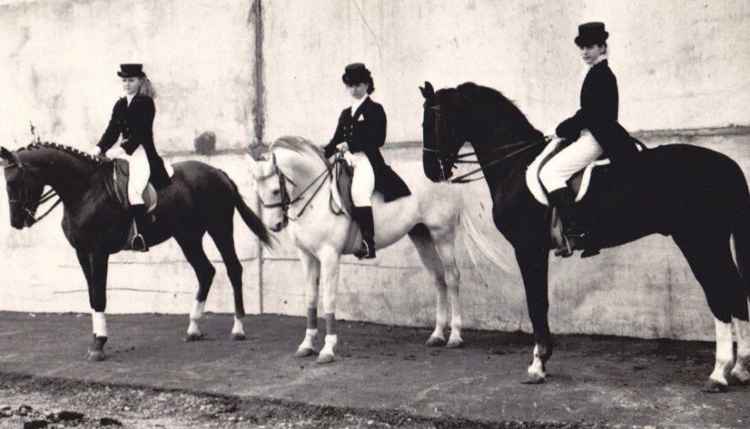 Конный спорт