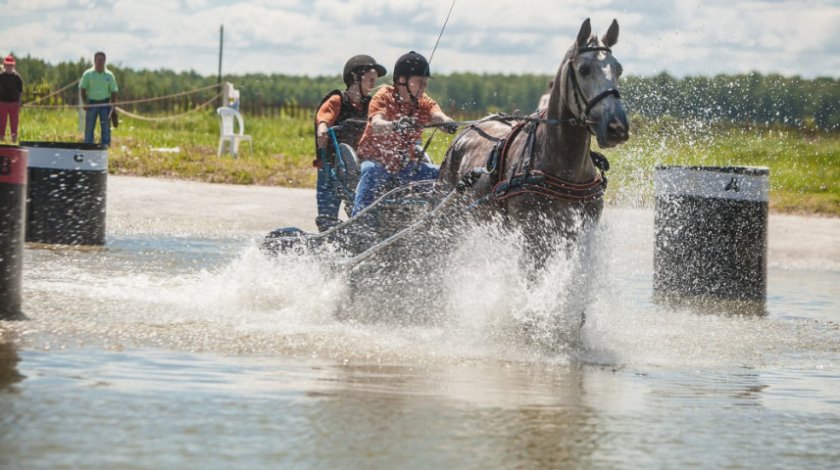 Препятствия
