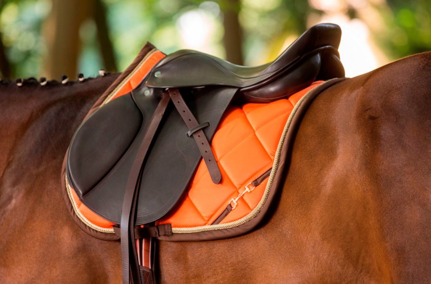 Седло с вальтрапом Седло с вальтрапом