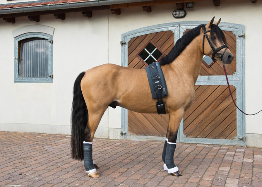 Подпруг Подпруг