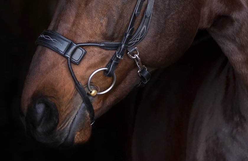 Уздечка Уздечка