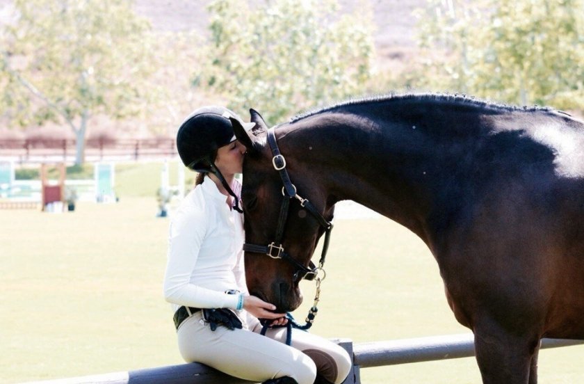 Взаимное привыкание Взаимное привыкание