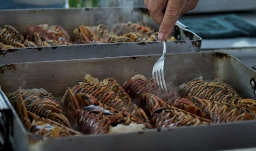 Блюдо из игуаны