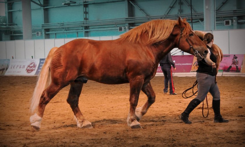Советский тяжеловоз