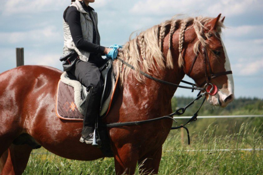 Советский тяжеловоз