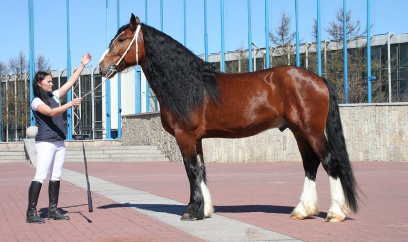 Владимирский тяжеловоз