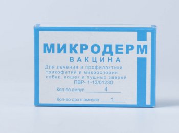 Для чего нужна и как правильно применять вакцину «Микродерм» для собак и кошек