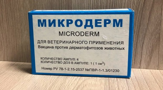 Вакцина Вакцина