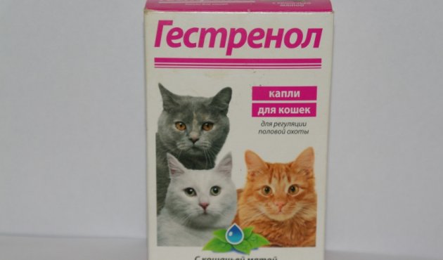 Певица Айдана Дека презентовала новый клип