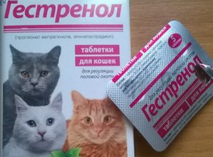 «Гестренол» для кошек