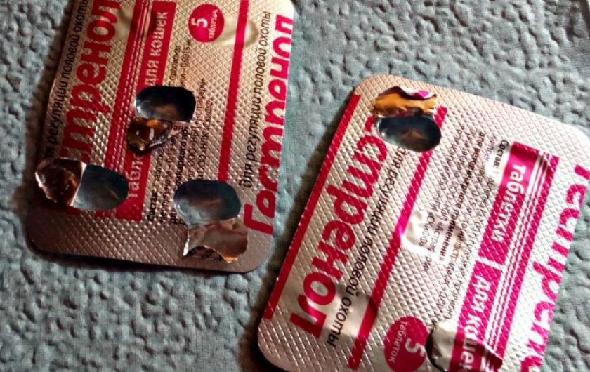 Гестренол в таблетках