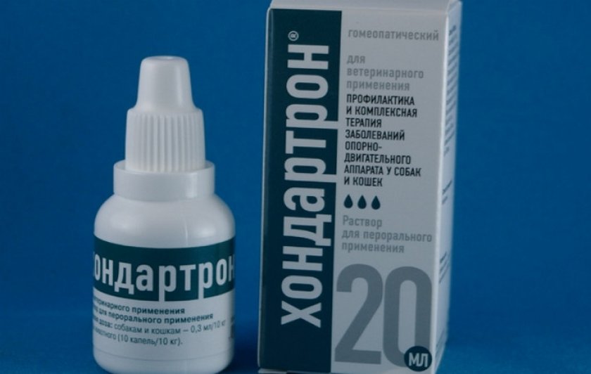 Хондартрон Хондартрон