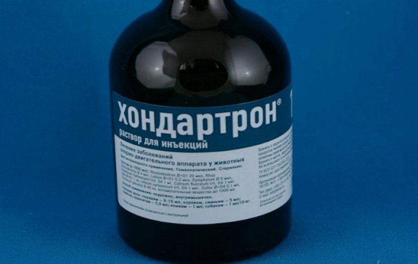 Хондартрон Хондартрон
