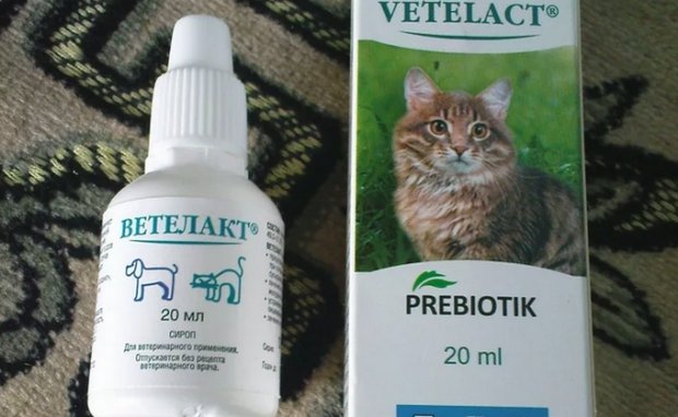 «Ветелакт» «Ветелакт»
