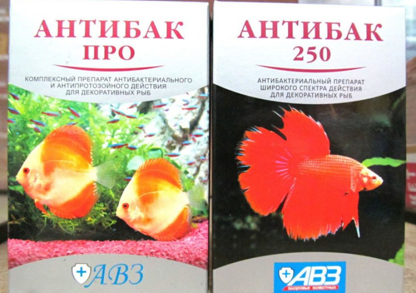 «Антибак Про» «Антибак Про»