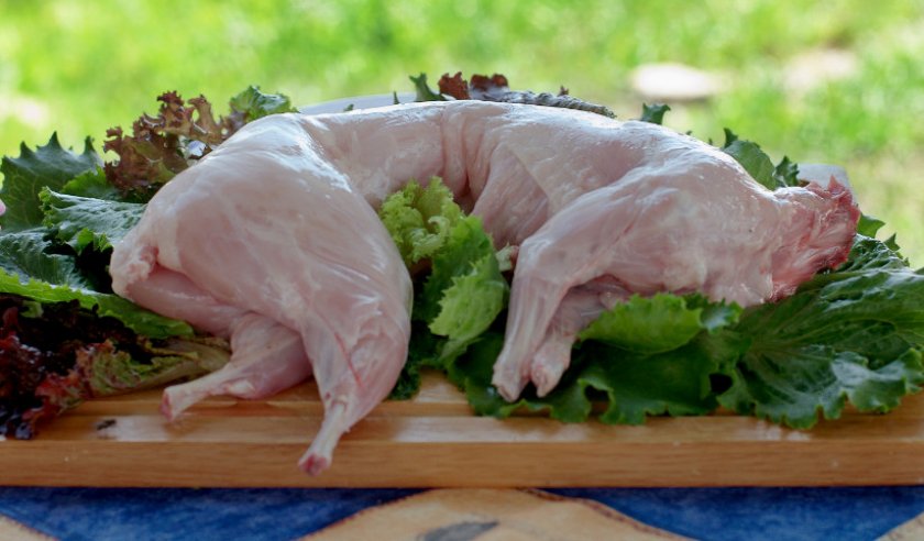 Мясо кролика
