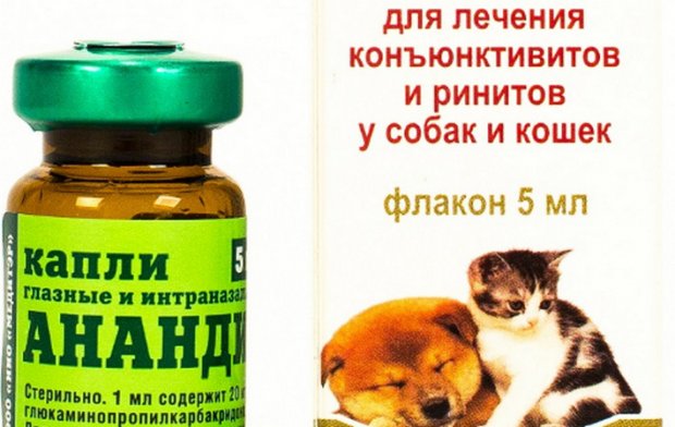 Анандин Анандин