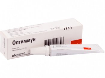 «Оптиммун»: препарат для лечения болезней глаз у собак