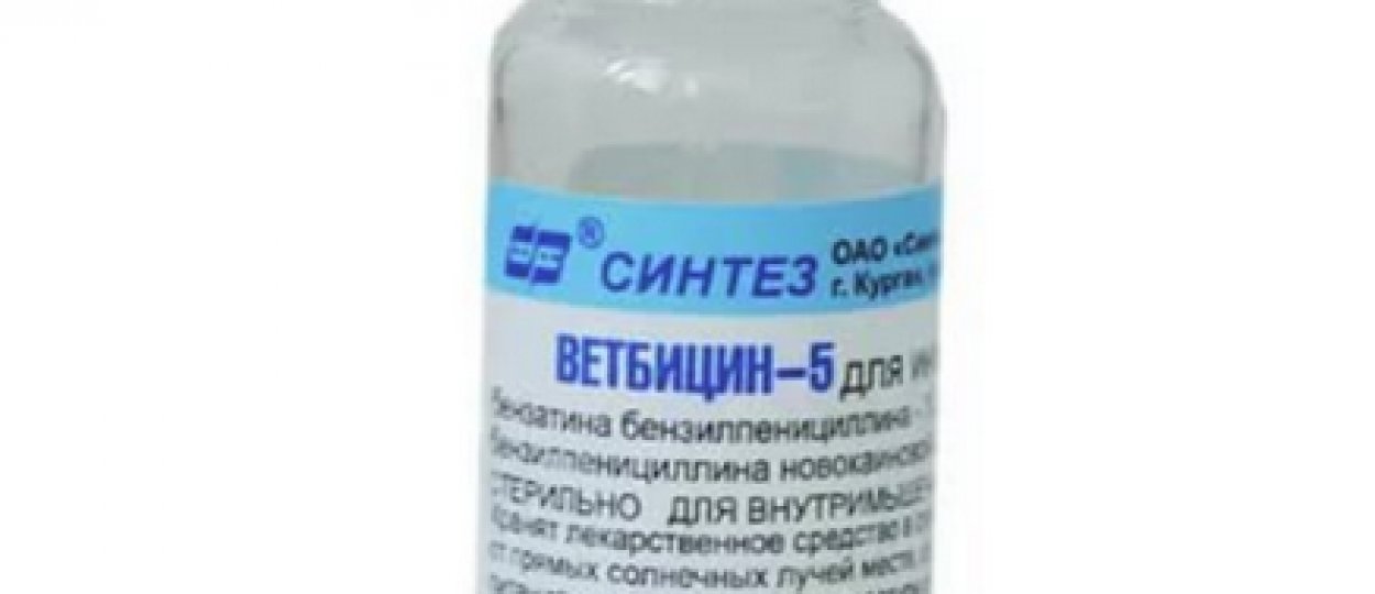 «Ветбицин 5»: дозировка, побочные эффекты и инструкция по применению ...