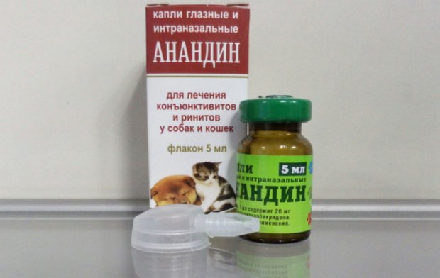 Анандин Анандин