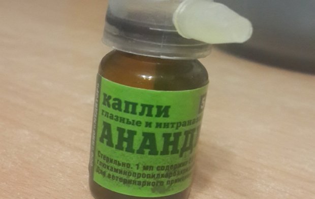 Анандин Анандин