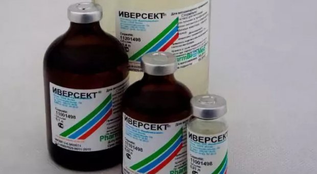 Препарат Иверсект Препарат Иверсект