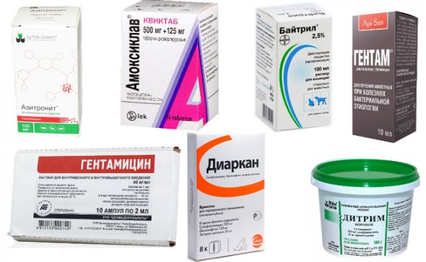 Аналоги препарата Аналоги препарата