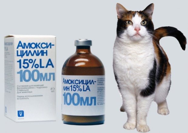 «Амоксициллин-15» «Амоксициллин-15»