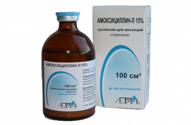 «Амоксициллин-15» «Амоксициллин-15»